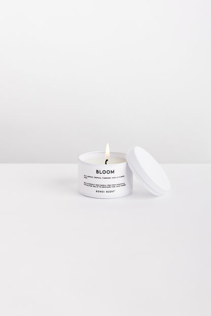 Lit Bondi Scent &